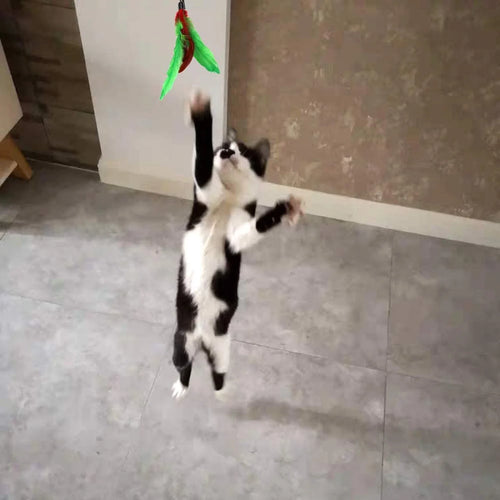 11 Pzas De Plumas Para Gatos, Múltiples Estilos De Plumas Para Juguetes De Gatos, Juguete De Plumas De Repuesto Con Recargas De Campana, Atrapador Interactivo Y Ejercicio Divertido Para Gatitos O Gatos